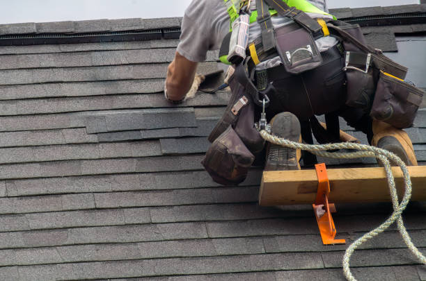 Best Storm Damage Roof Repair  in Warren Park, IN