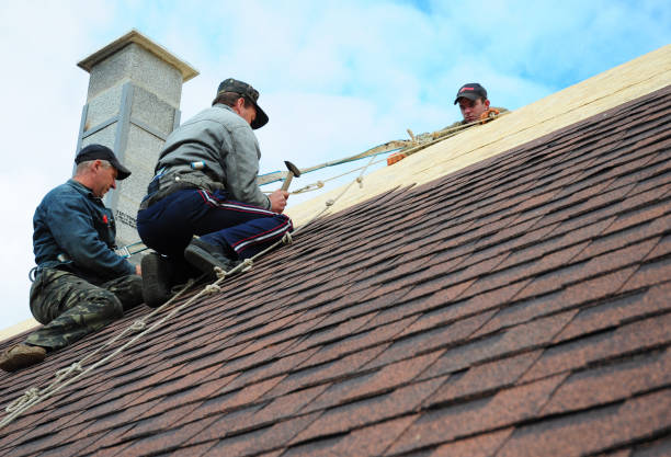 Best Metal Roofing Contractor  in Warren Park, IN