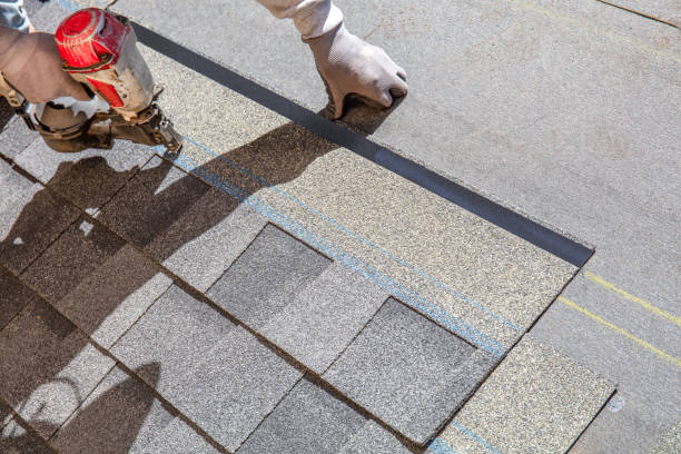 Best Roof Waterproofing Services  in Warren Park, IN