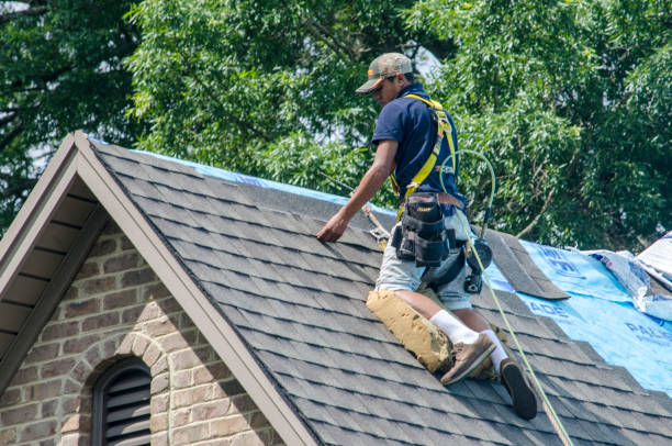Best Roof Waterproofing Services  in Warren Park, IN